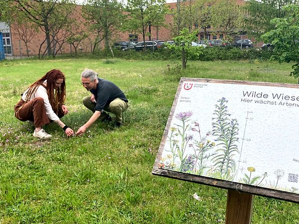 Marko Rohlfs und Lorena Kalvelage hocken auf einer Wiese und schauen sich die Pflanzen am Boden an. Im Vordergrund steht ein Schild, das über das Biodiversitätsprojekt auf dem Campus informiert.