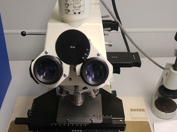 Picture of Instrument - Zeiss Axioplan microscope