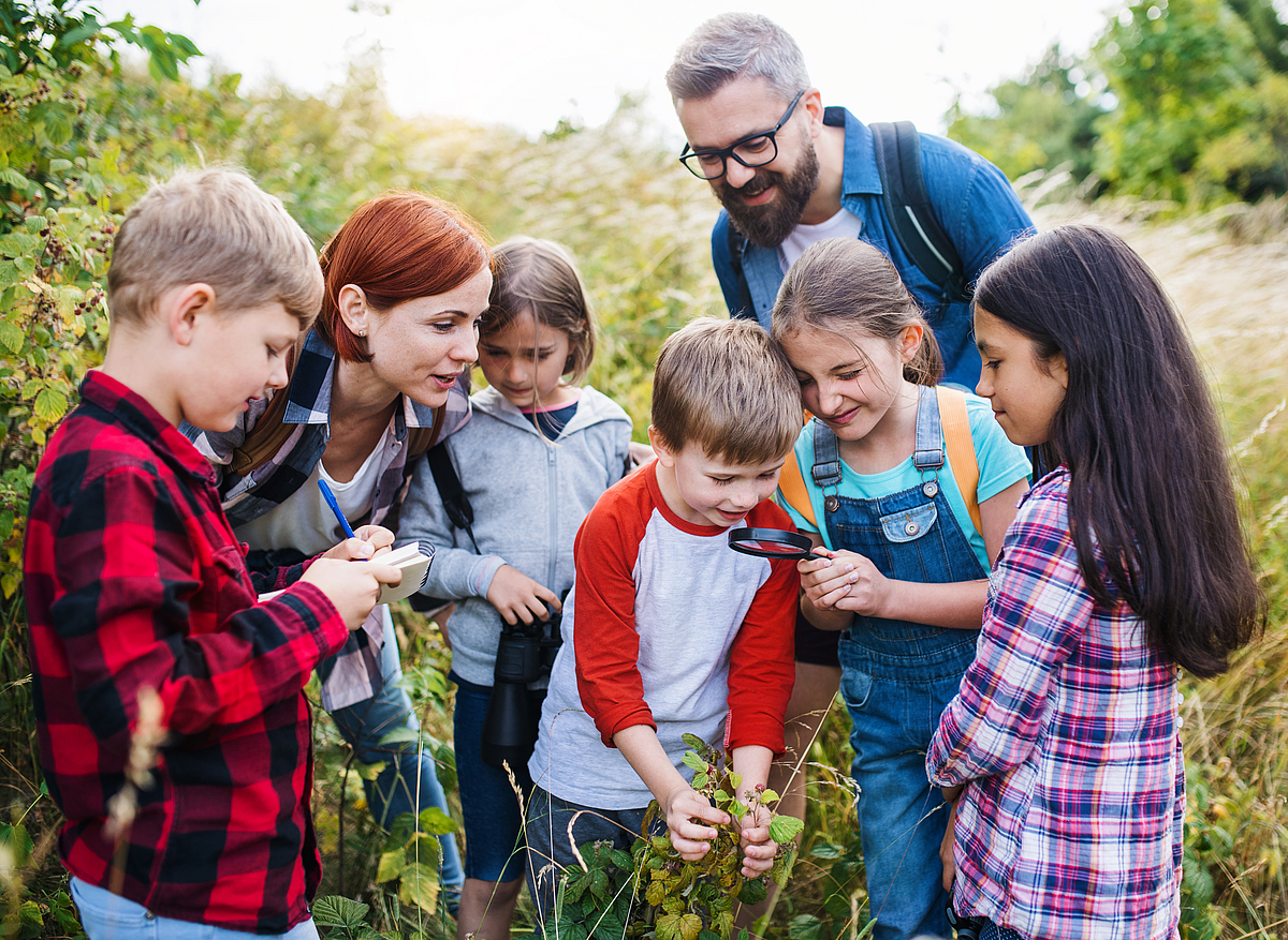 Schülerinnen und Schüler sind mit zwei Lehrpersonen in der Natur und untersuchen Pflanzen