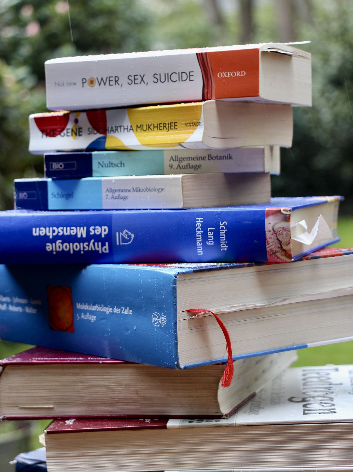 A whole bundle of books Fundamental Books for learning more about Molecular Biosciences