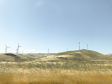 Getreider der sich im Wind bewegt, im Hintergrund stehen Windkrafträder.