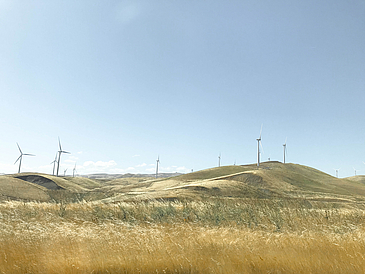 Getreider der sich im Wind bewegt, im Hintergrund stehen Windkrafträder.