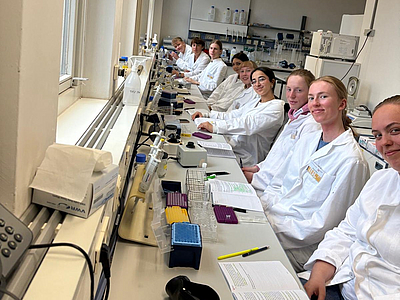 Arbeit mit dem Mikroskop