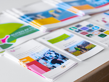 Auswahl von Flyern und Broschüren des IPP