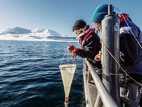Probennahmen im Kongsfjord, Spitzbergen