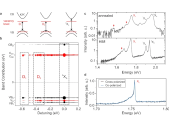 TOC picture of the publication