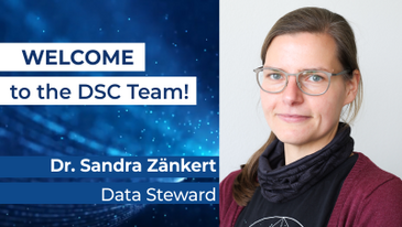 Welcome to the DSC Sandra!