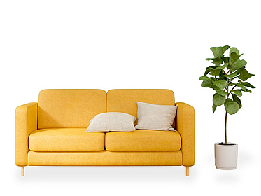 Es ist ein gelbes Sofa mit beigen Kissen zu sehen. Daneben steht eine große Grünpflanze.