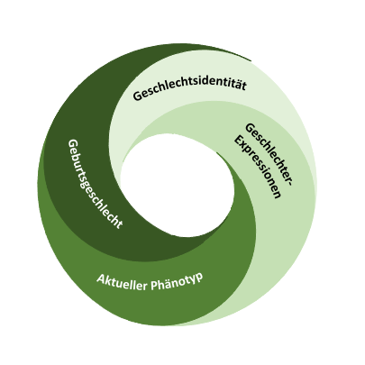 DIVERGesTOOL Geschlechterkonzept: Innenkreis