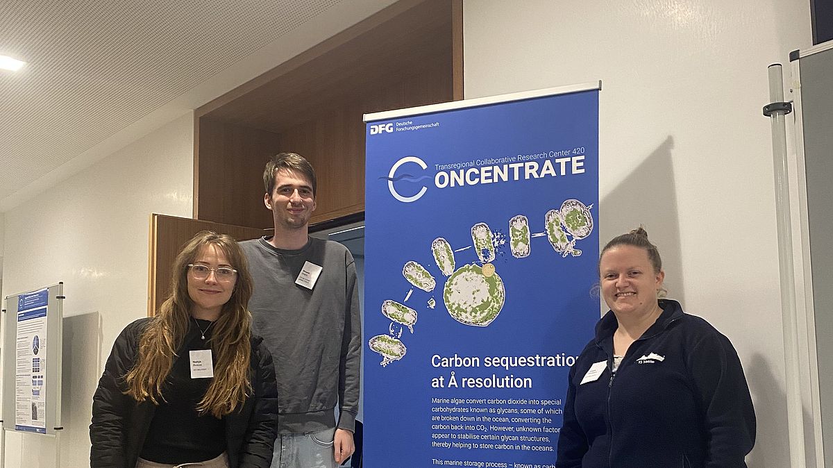 Bruno. Nahja und Greta beim CONCENTRATE Kick-Off Meeting November 2025