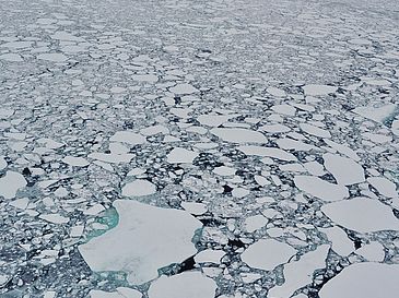 Arctic ice floes