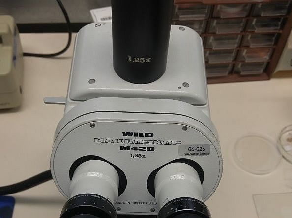 Picture of Instrument - Wild M420 microscope