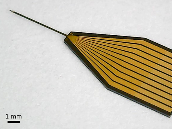 Neural probe with a thin silicon needle Neural probe with a thin silicon needle for acute in-vivo experiments