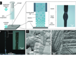 3D printing colloidal assembly