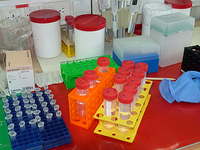 Scientific lab bench