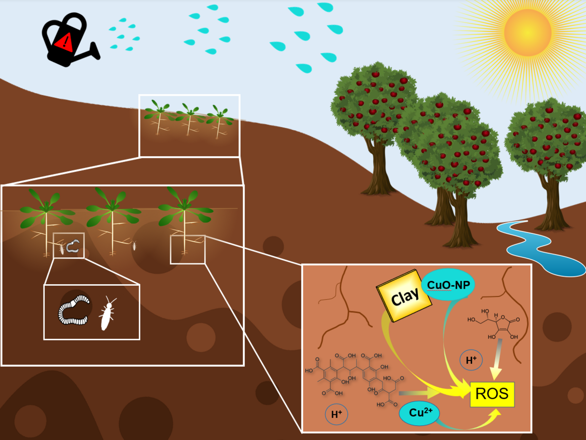 In eine schematische Landschaft ist ein Ausschnitt des Bodens dargestellt. An den Wurzeln der Pflanzen finden chemische Reaktionen statt.