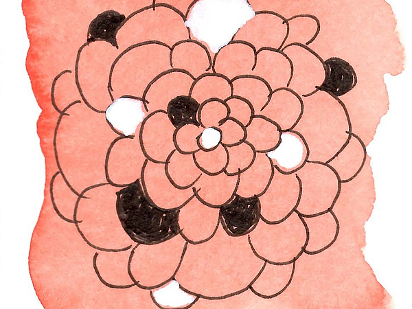 Auf dem Bild ist eine Blume zu sehen.