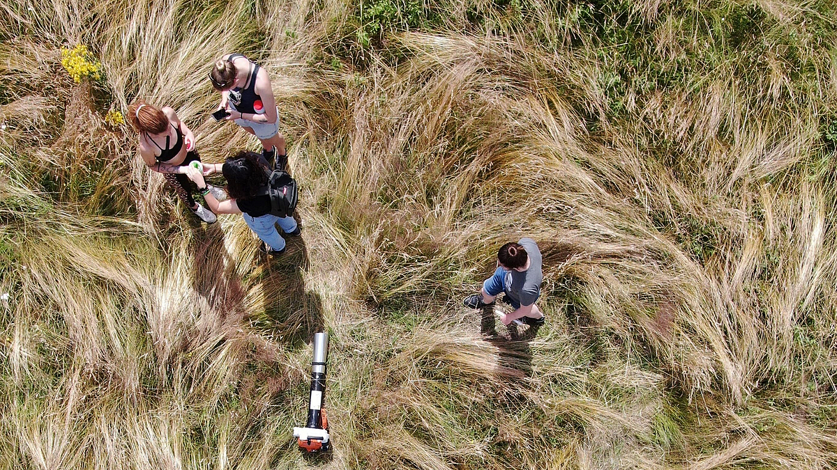 Studierende sammeln Insekten