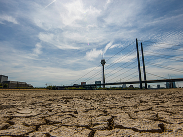 Rhein bei Düsseldorf, extremes Niedrigwasser, Rheinpegel bei 84 cm, nach der langen Dürre fällt das linke Rheinufer, bei Düsseldorf Oberkassel trocken, Rheinturm, Rheinkniebrücke,