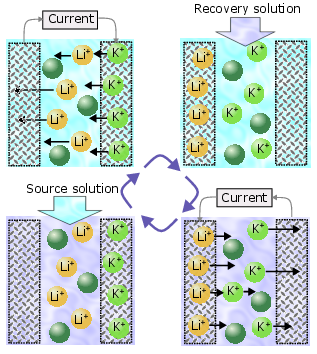 Cell Operation