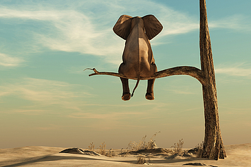 Elephant stands on thin branch of withered tree in surreal landscape. This is a 3d render illustration