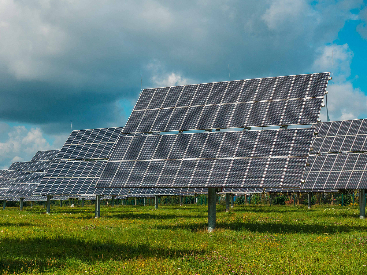 Feld von Sonnenkollektoren