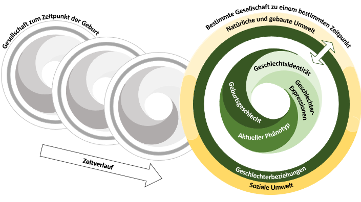 DIVERGesTOOL Geschlechterkonzept
