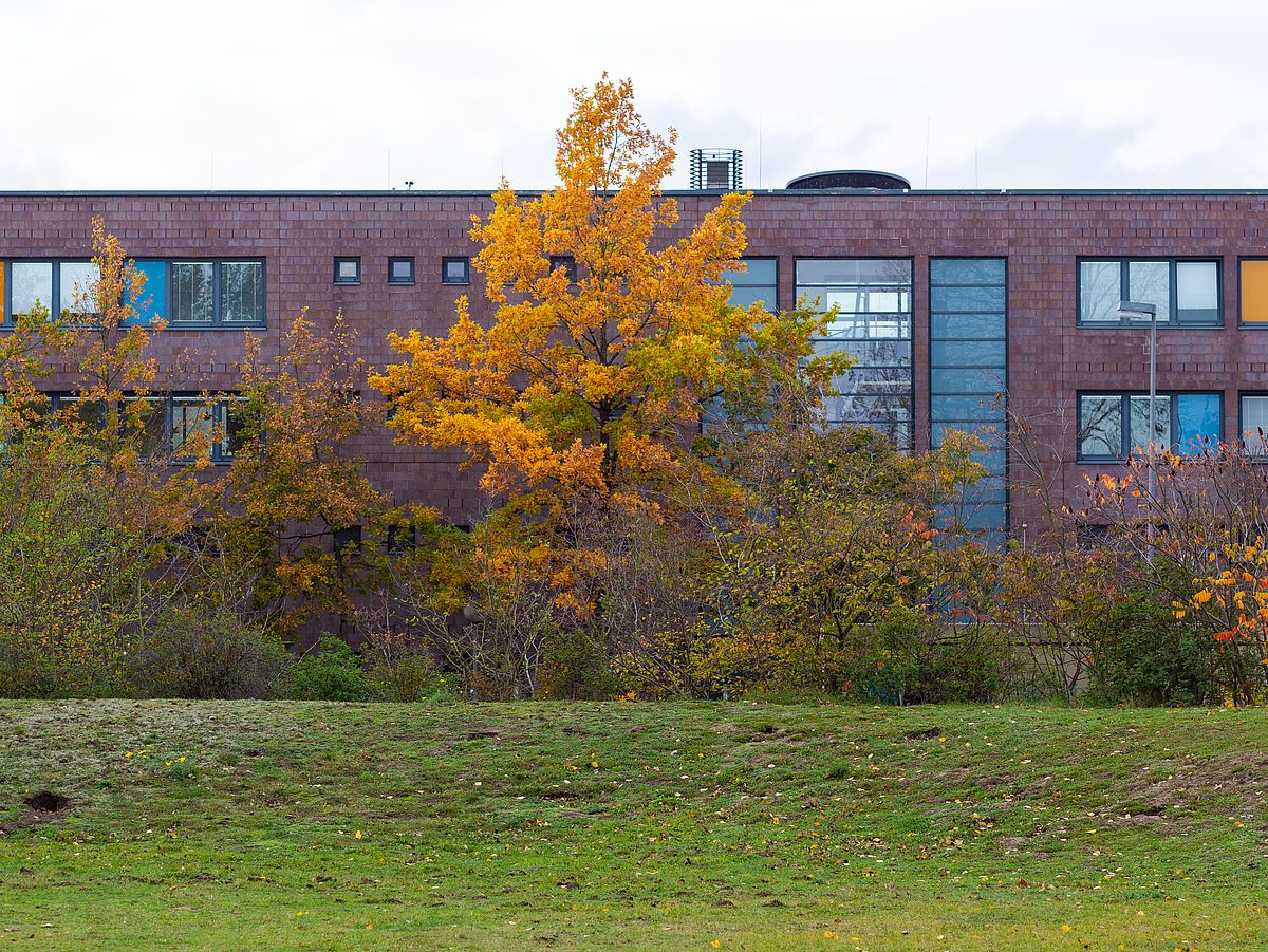 Sustainability strategy Colourful autumn foliage in the university's campus park.