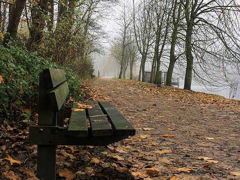 Der Weg