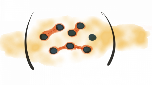 Logo der Arbeitsgruppe Quantenoptik von Halbeiternanostrukturen für Anwendungen in den Informationstechnologien