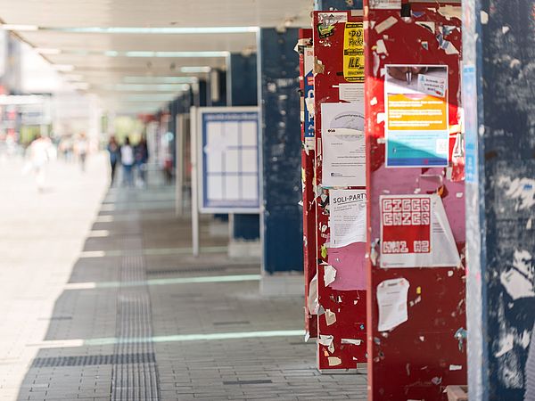 A row of postered pillars on the university boulevard.