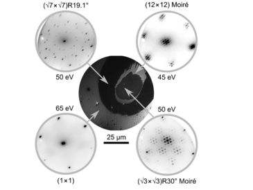 [Translate to English:] 