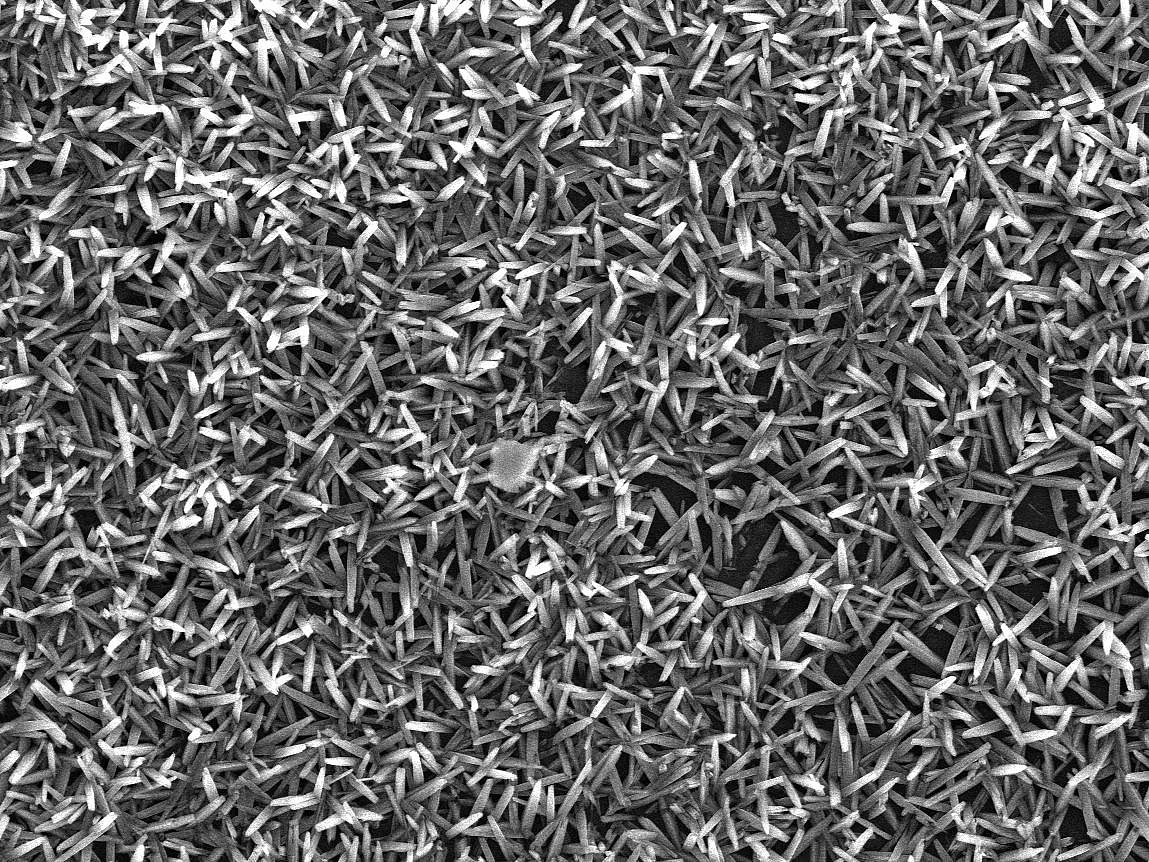 Abschiebungen währende der elektrochemischen Reduktion von Hämatit