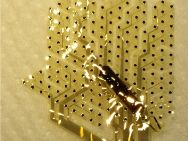 Flexibles Array mit 202 kleinen Elektroden (erkennbar als schwarze Punkte). Das Array wird auf der Dura mater plaziert und ermöglicht epidurale Messungen der Hirnaktivität.