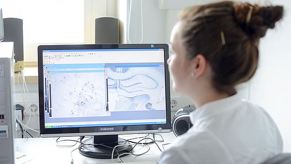 A person is working on a computer in the laboratory.