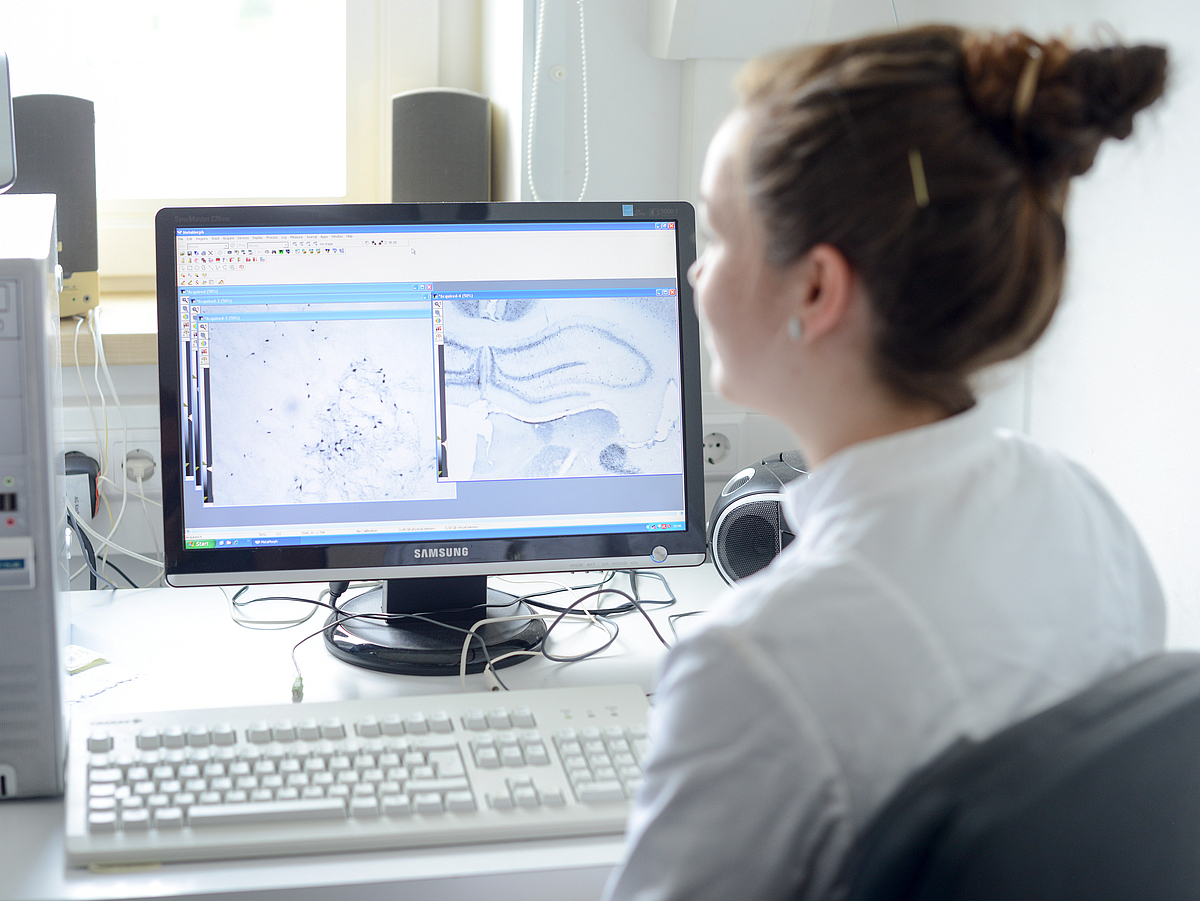 Eine Person arbeitet an einem Computer im Labor.