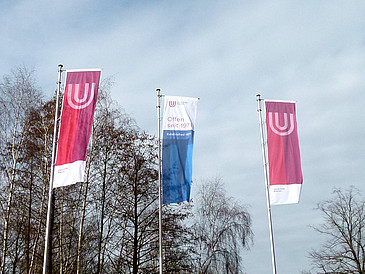 Flags on the campus of the university