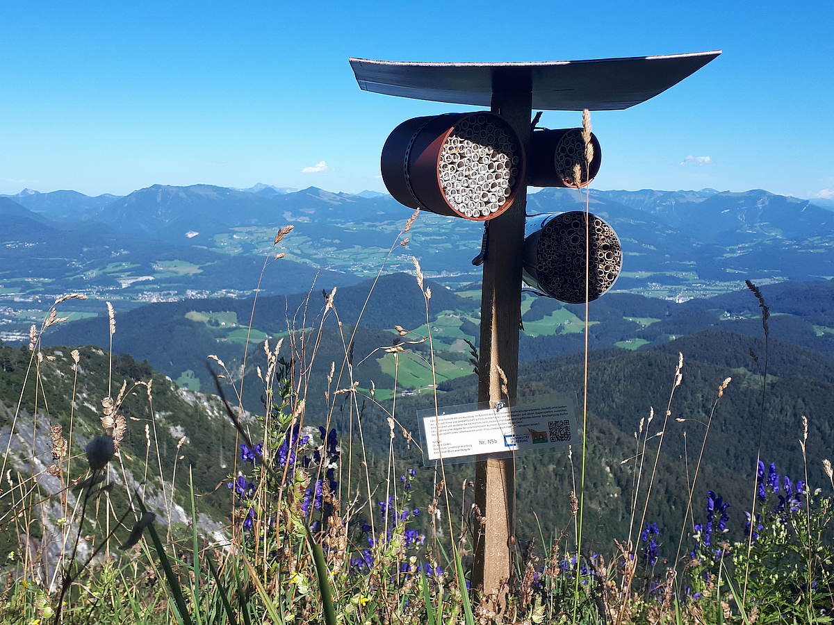 An artificial trap nest for wild bees and wasps (“bee hotel”) stands on an alpine meadow in Berchtesgaden National Park. In the background, a green valley is visible.