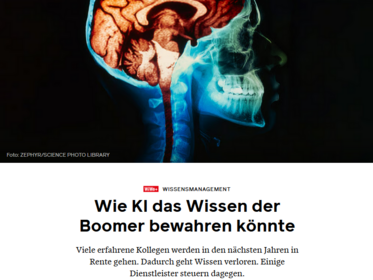 Screenshot Artikel der Wirtschaftswoche