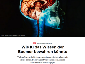 Screenshot Artikel der Wirtschaftswoche