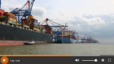 Shows a clip from the Buten un Binnen video, where several container ships and cranes are seen.