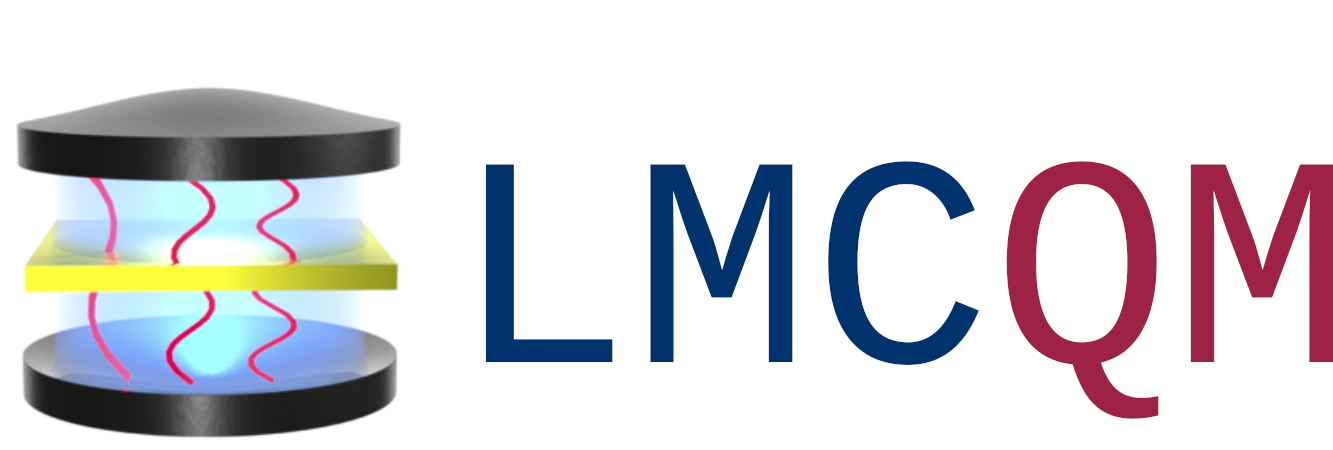 LMCQM-Logo