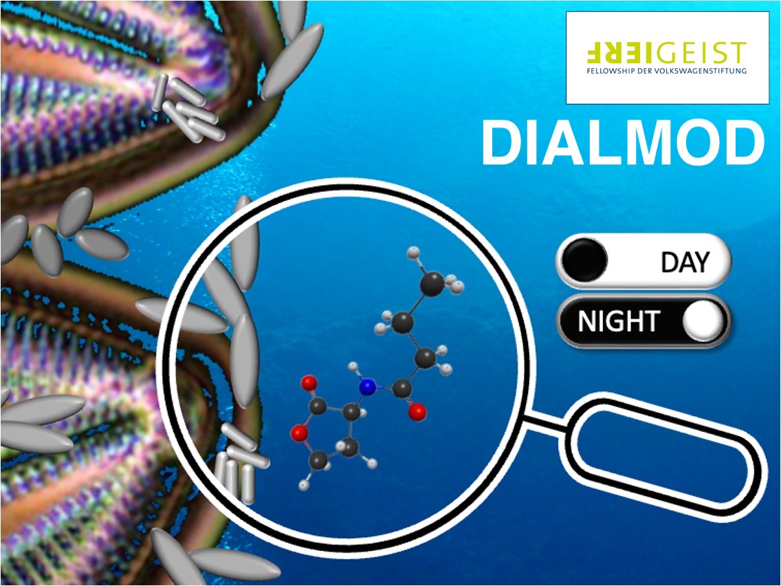 Concept-Visualisation of the DIALMOD project funded by the Volkswagen Foundation: we are investigating the dynamics of signalling molecules and metabolites in diatom-bacteria interactions across the day-night cycle