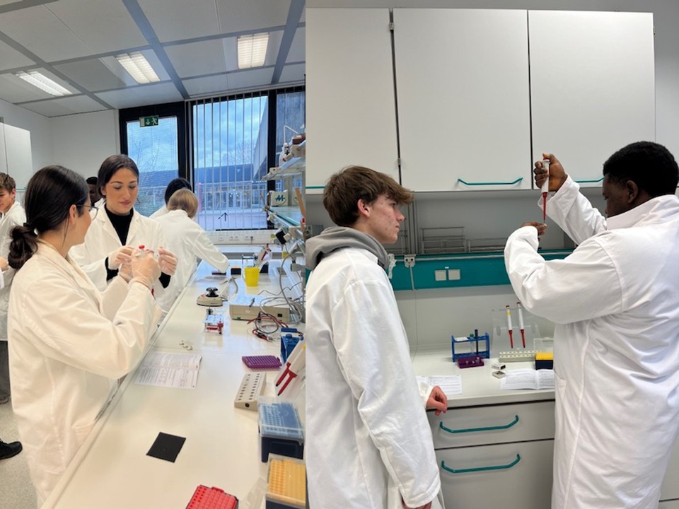 Im Team arbeiten Linkes Bild: Zwei Schülerinnen in Kitteln arbeiten an einer Laborbank. Im Hintergrund sind mehrere Schüler:innen im Labor zu sehen. Rechtes Bild: Zwei Schüler in Kitteln stehen an einer Laborbank, der rechte Schüler pipettiert mit einer Mikropipette.