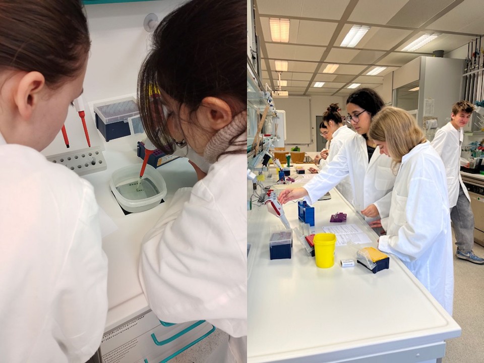 Molekularbiologie als Thema des Biologieunterrichts Linkes Bild: Schülerinnen in Kitteln pipettieren mit einer Mikropipette an einer Laborbank. Rechtes Bild: Schüler:innen in Kitteln bewegen sich im Lehr-Lern-Labor und arbeiten an der Laborbank.