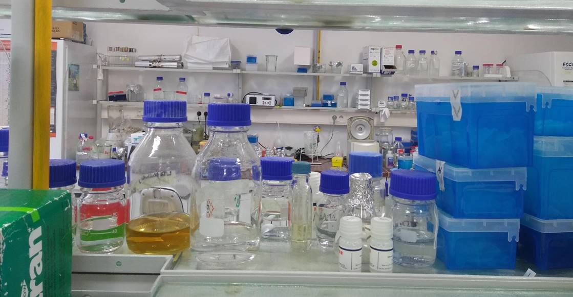 Molecular_biology_ready_for_action_II