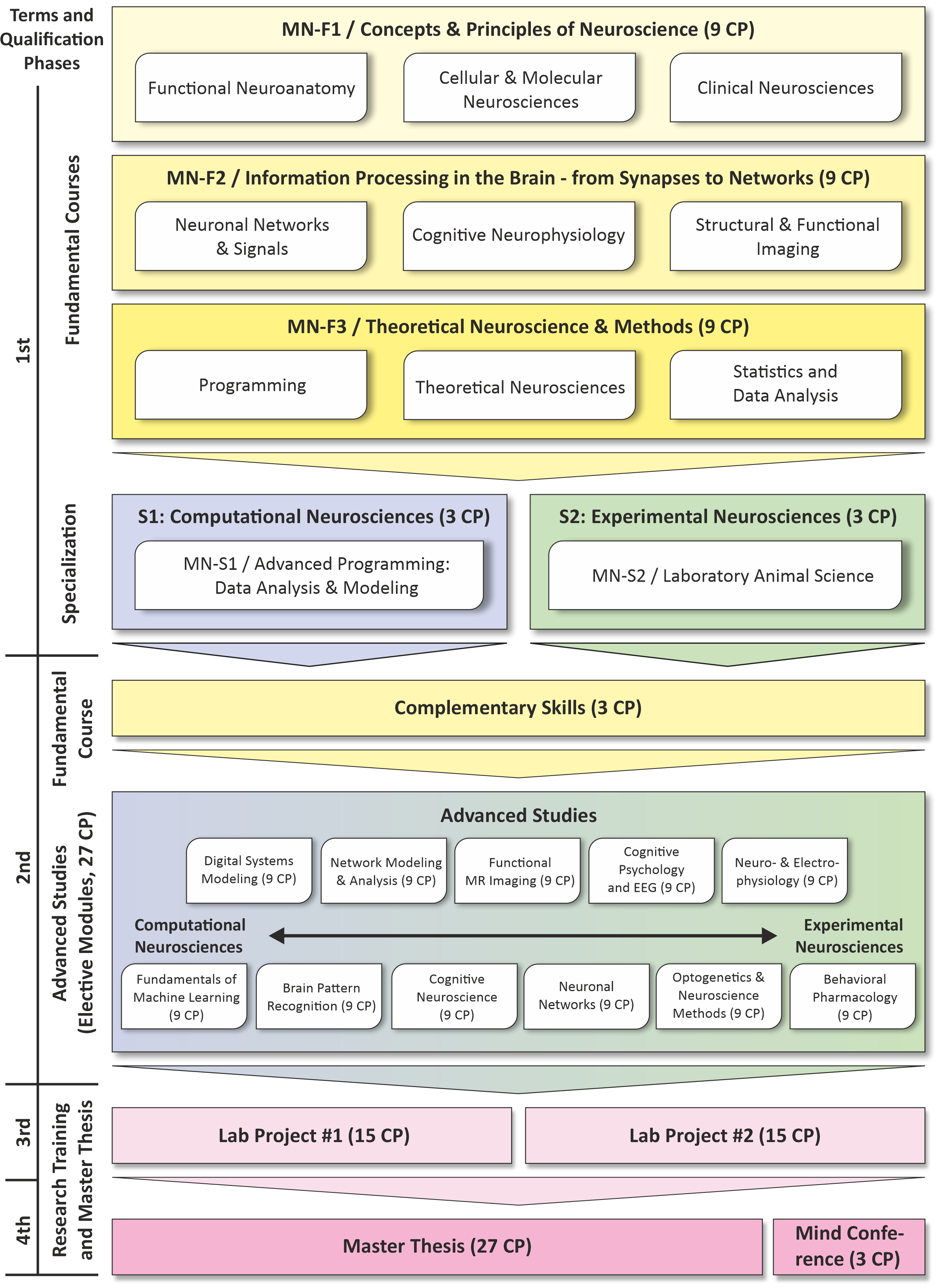 Degree Curriculum for the Master's Program Neurosciences