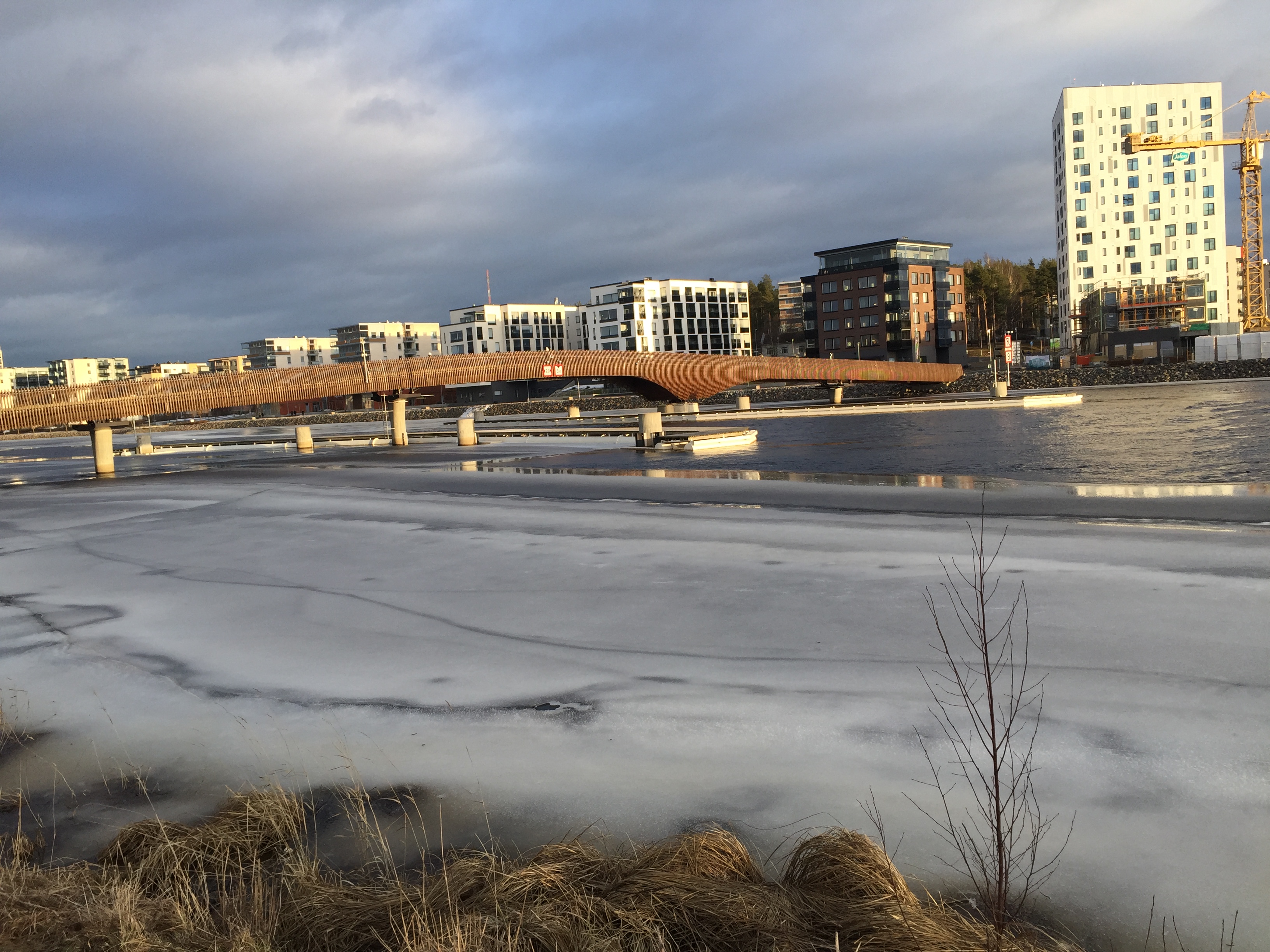 University of Finland