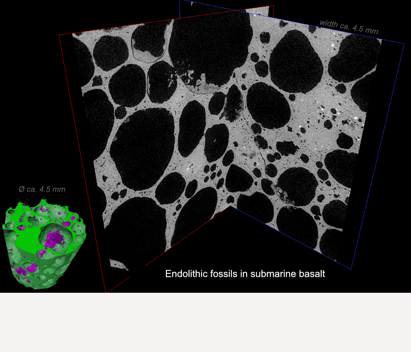 endolithic fossils in submarine basalts