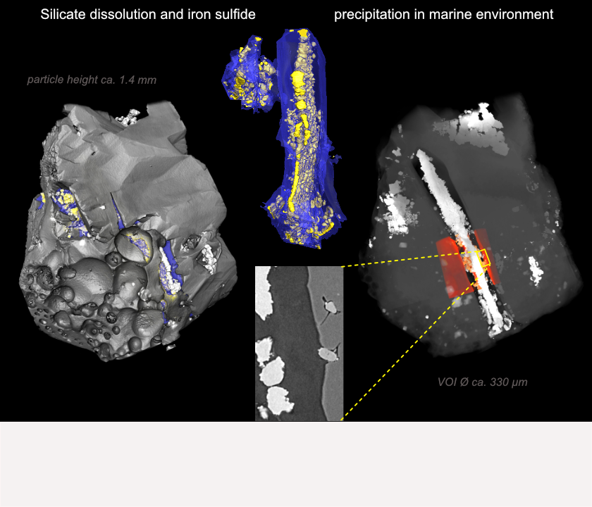 Silicate dissolution and sulfide precipitation in marine environment